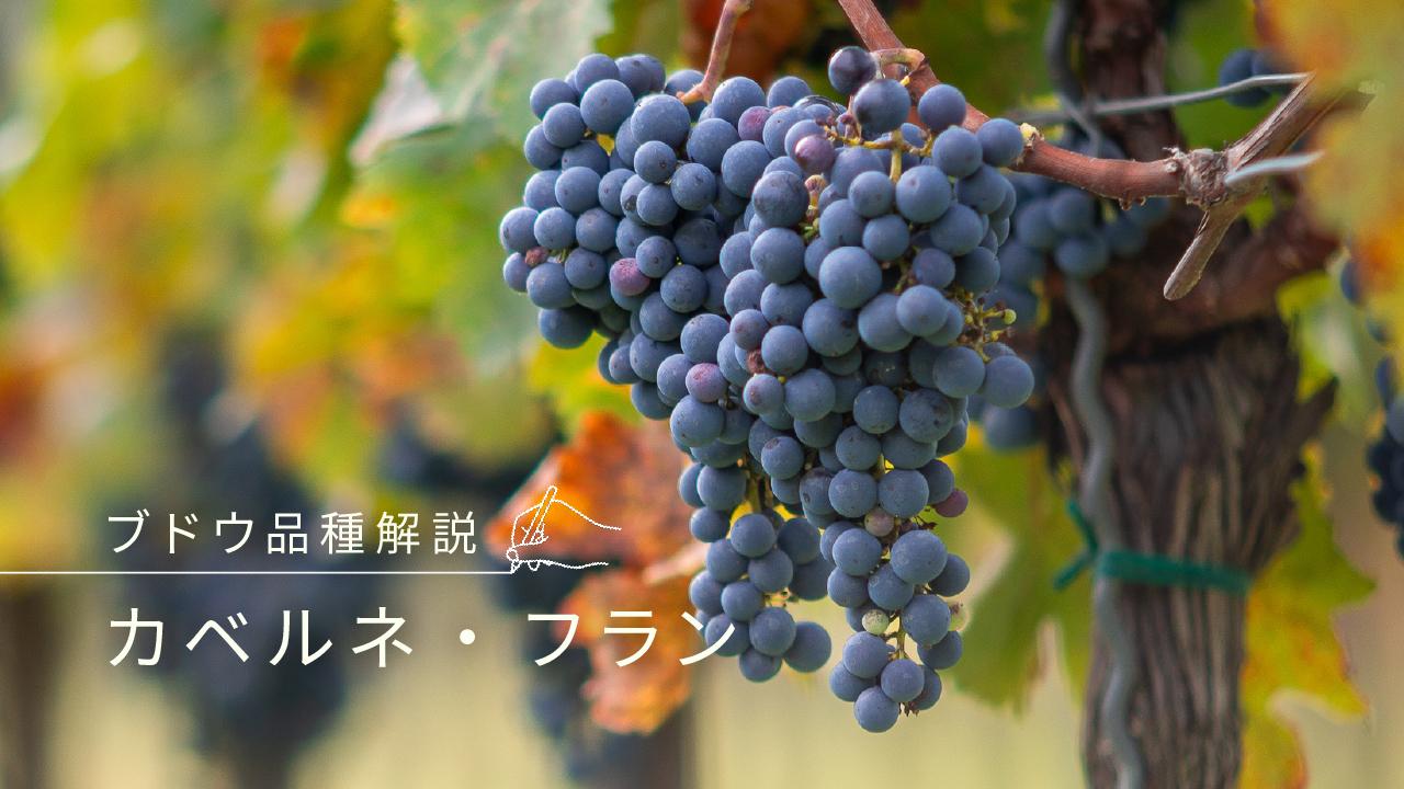 カベルネ・フラン