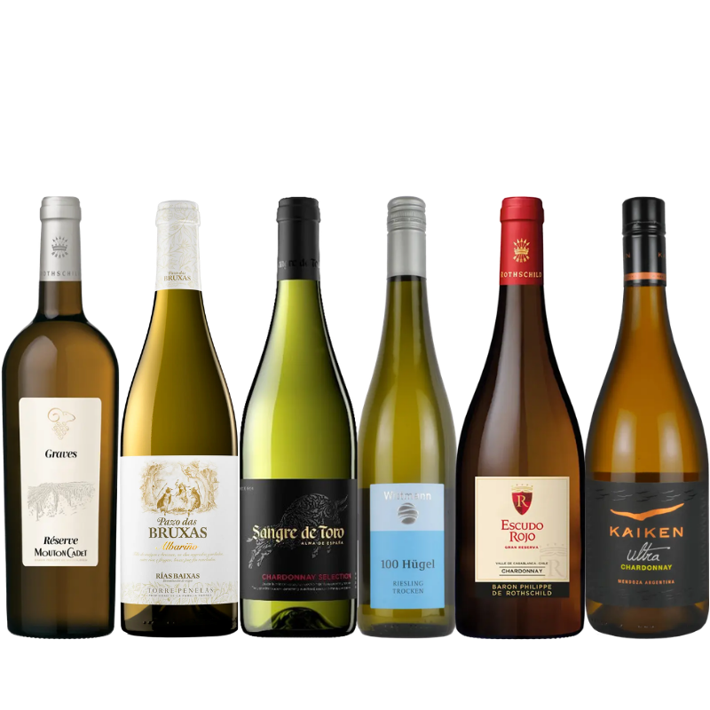 産地の個性を楽しむ！バラエティ白ワイン6本セット WR3-1 [750ml x 6