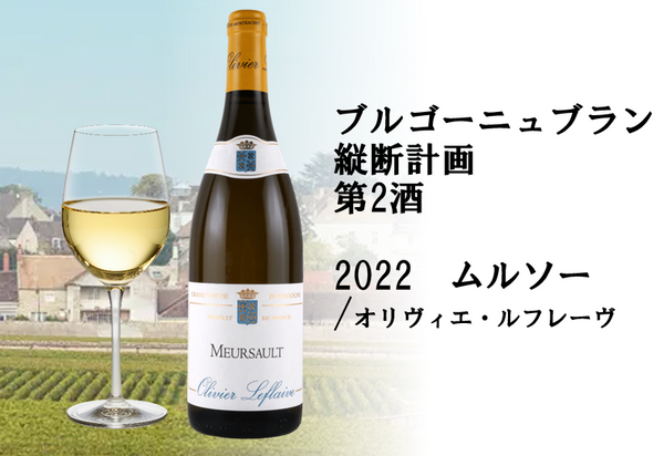 【6月26日（金）～無くなり次第終了】ブルゴーニュブラン縦断計画　～第2酒　ムルソー編～