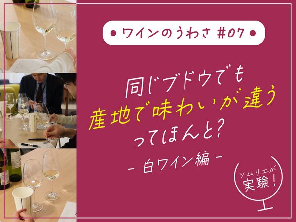 同じブドウでも産地で味わいが違うってほんと？【白ワイン編】