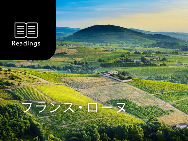 【ワイン産地を知ろう】ローヌワインの特徴