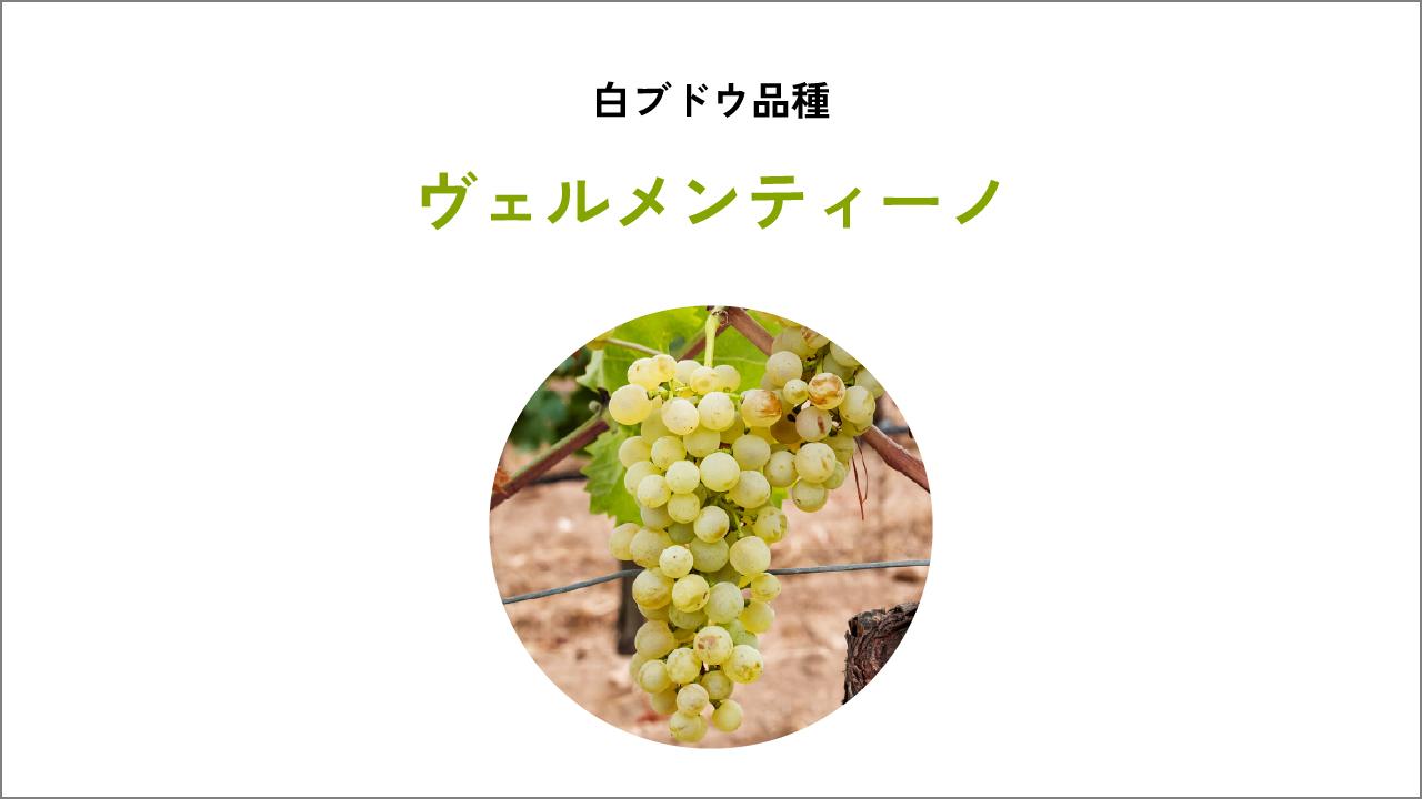 ヴェルメンティーノ