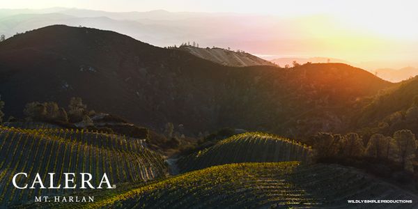 カリフォルニアの開拓者・カレラ 単一畑を知る4グラス