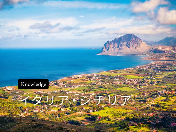 【ワイン産地を知ろう】シチリアワインの特徴