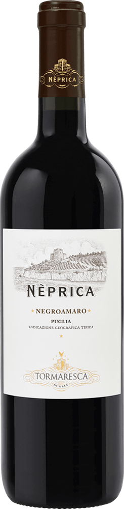 ネプリカ・ネグロアマーロ