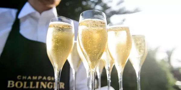 【2026年初売り】他に類をみないコンセプトを持ったキュヴェ　”ボランジェ・アール・ディー”