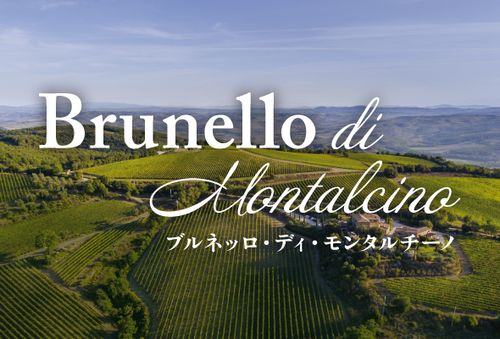 ブログメイン画像