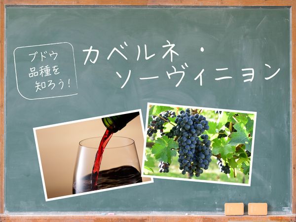 【ブドウ品種を知ろう】カベルネ・ソーヴィニヨンとは？