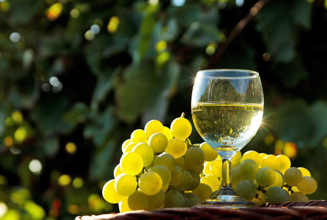 白ワインが注がれたグラスと白ブドウ
