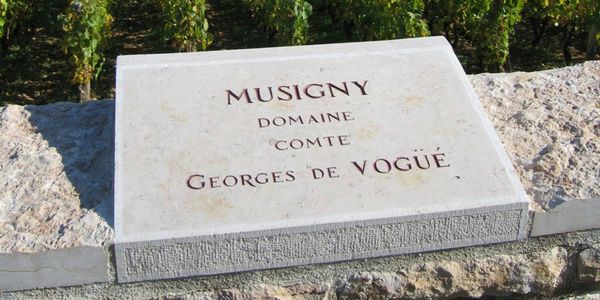 コント・ジョルジュ・ド・ヴォギュエ / COMTE GEORGES DE VOGUE