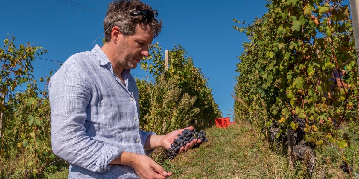 カヴァロット / CAVALLOTTO