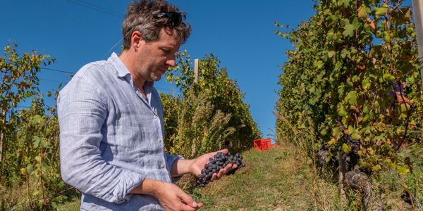 カヴァロット / CAVALLOTTO