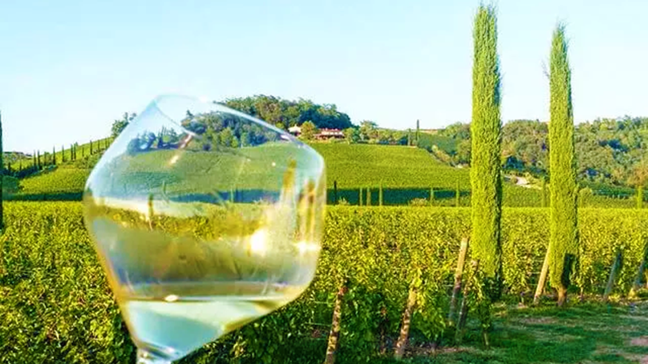 現代イタリア白ワインの聖地！フリウリ・ヴェネチア・ジュリアの魅力 | エノテカ - ワインの読み物