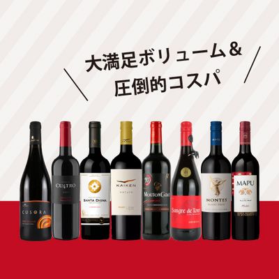 【ワインセット２BUY1,100円OFF】パーティーパック 赤だけ8本 AQ10-1 [750ml x 8]