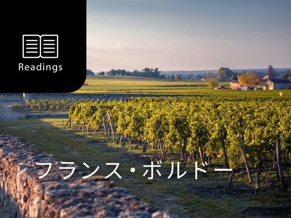 ワイン産地を知ろう！ボルドー
