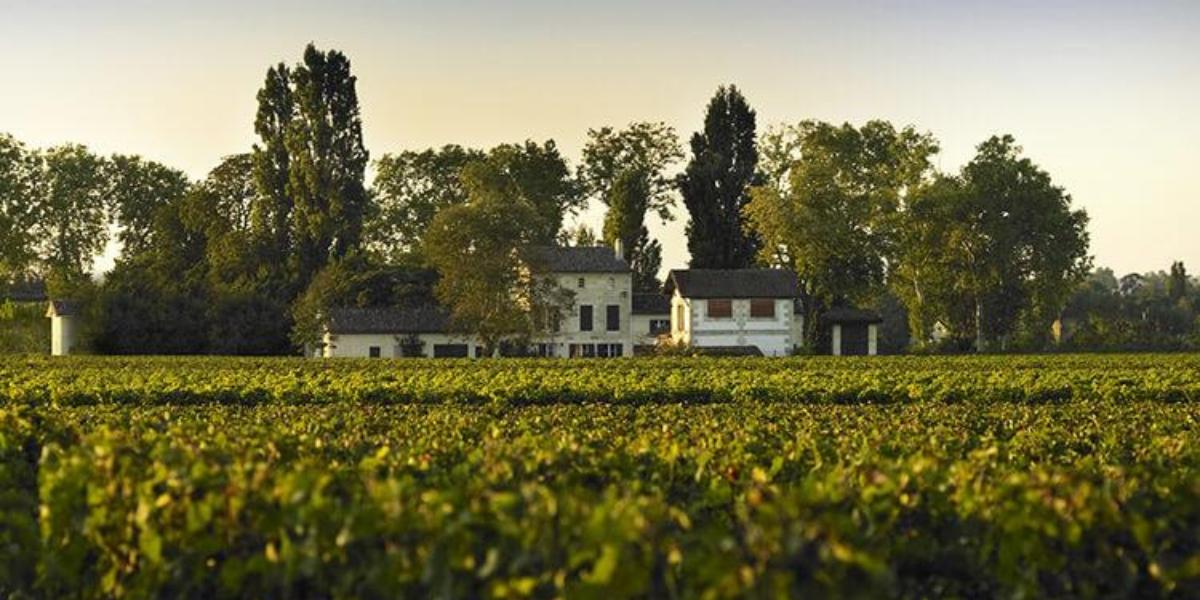 シャトー・ラ・グラーヴ / CH.LA GRAVE