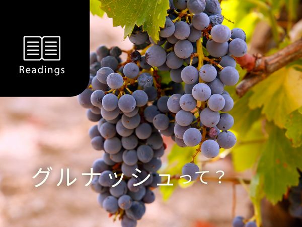 【ブドウ品種を知ろう】グルナッシュとは？
