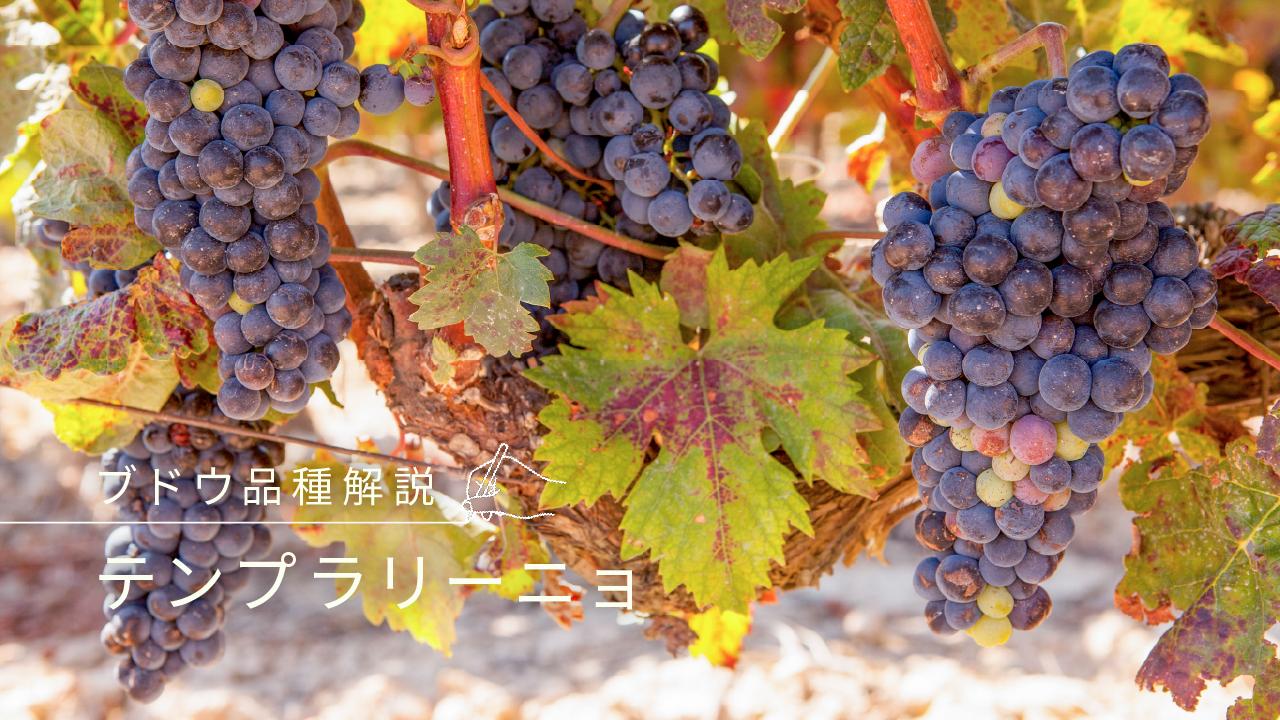 テンプラニーリョ