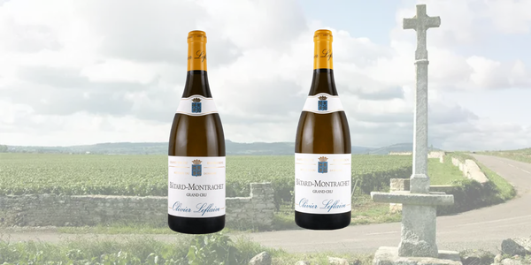 11月21日(金）～　バタール・モンラッシェ 2グラスセット