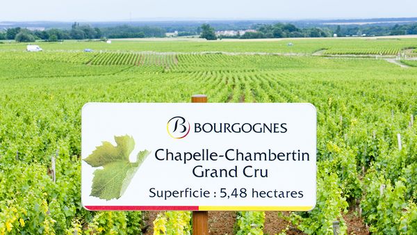 シャペル・シャンベルタンとは