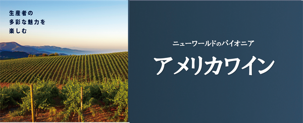 メインブログ画像