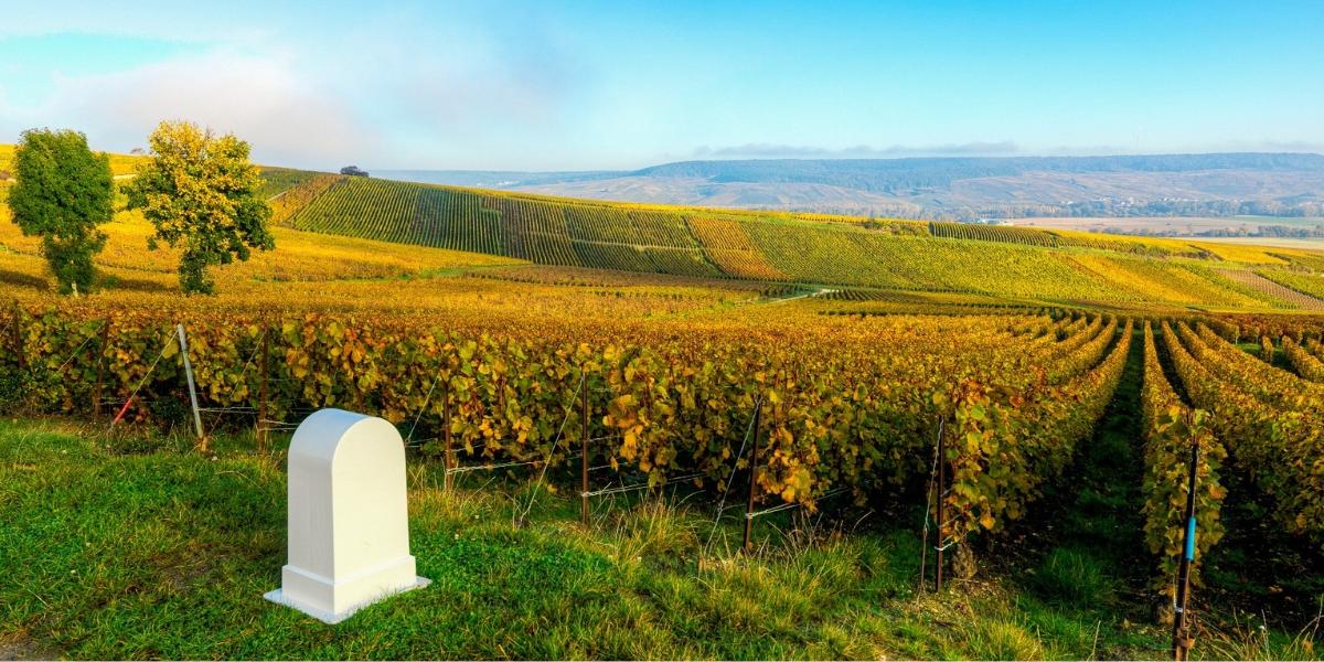 ボーモン・デ・クレイエール / BEAUMONT DES CRAYERES