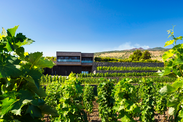 PIETRADOLCE / ピエトラドルチェ