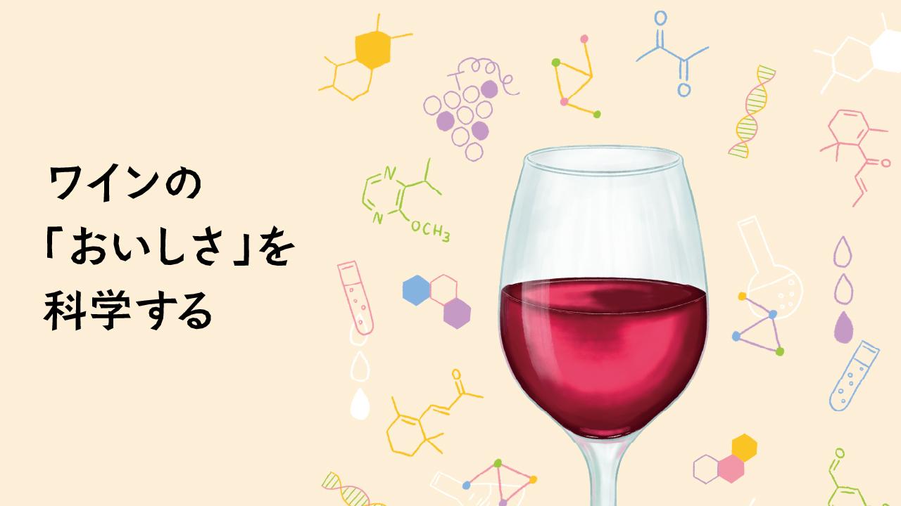 ワインのおいしさを科学する