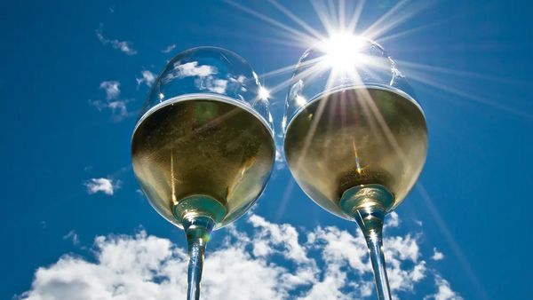 5/1(金)～5/7(木)　初夏に飲みたい！白３種＆赤３種　テイスティング