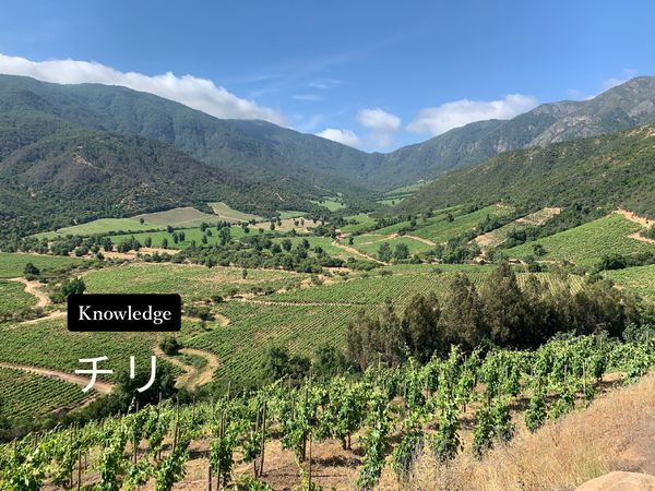 ワイン産地を知ろう！チリ