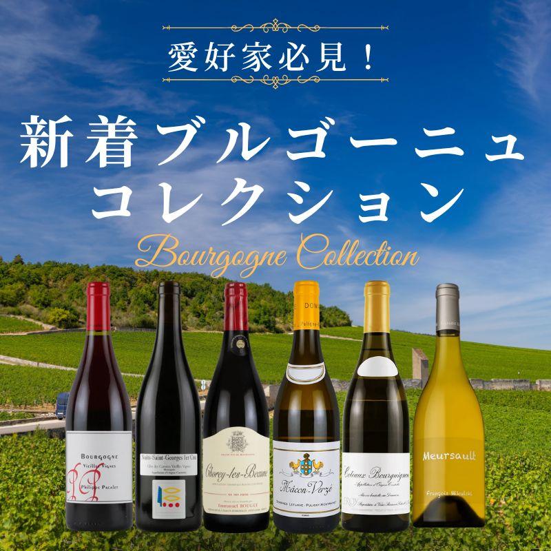新着ブルゴーニュコレクション