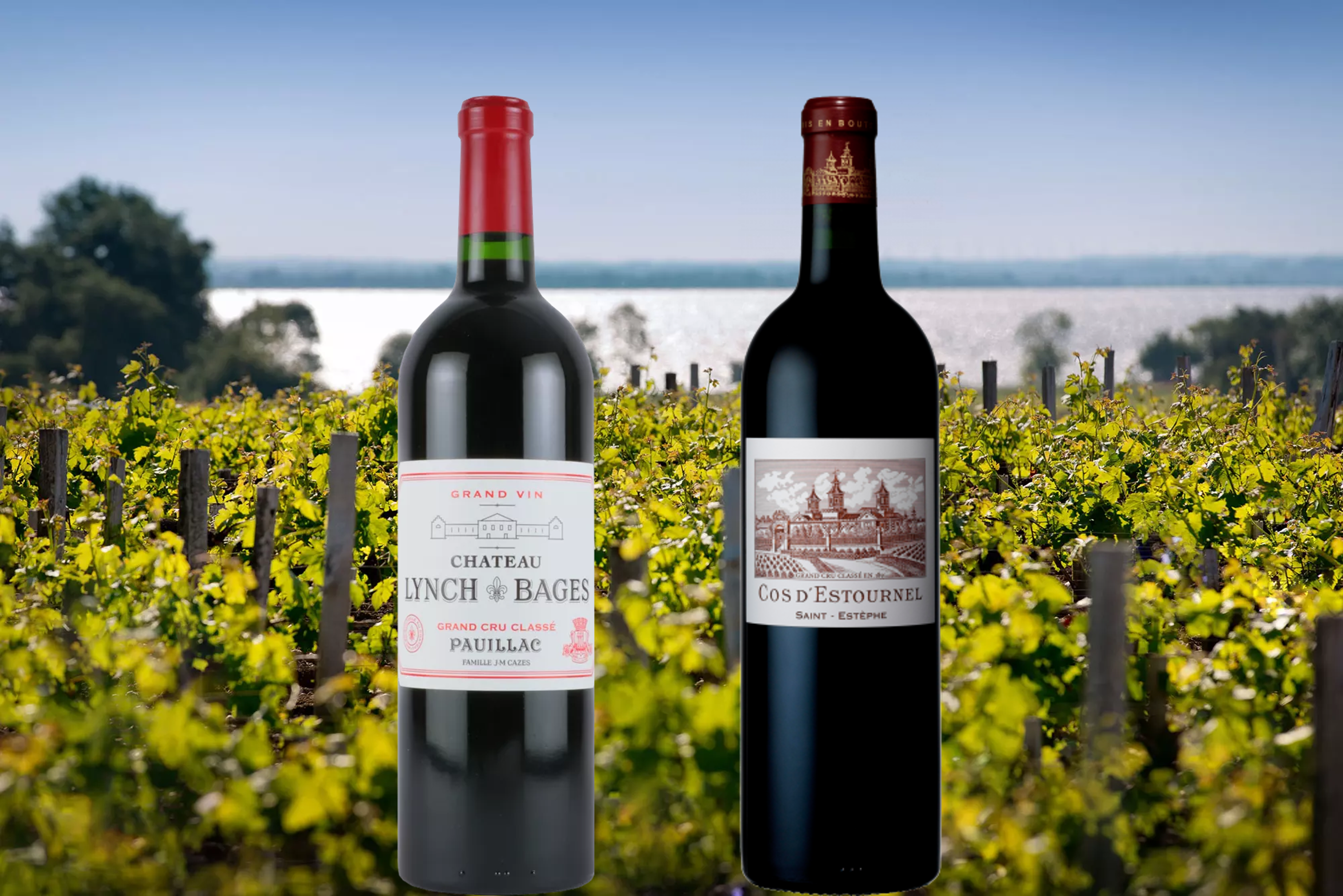 1992年 シャトー ランシュ バージュ CHATEAU LYNCH BAGES の販売