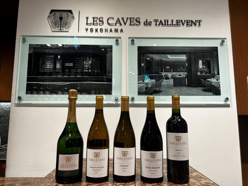 ブログメイン画像