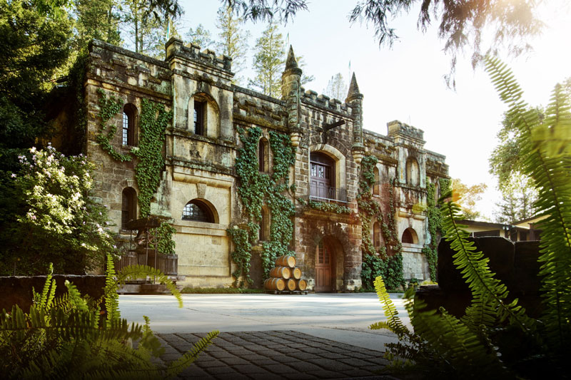 シャトー・モンテレーナ CHATEAU MONTELENA | エノテカ - ワイン通販