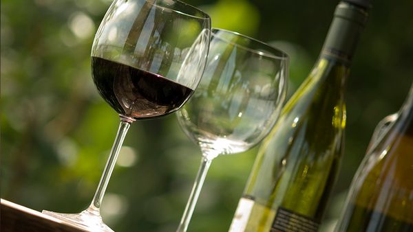 【GAJA　セミナー】イタリアの帝王と称される生産者ガヤのワイン2種類を味わう