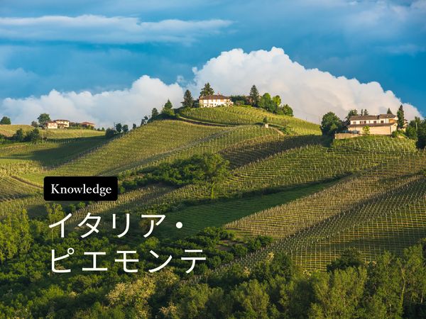 ワイン産地を知ろう！ピエモンテ