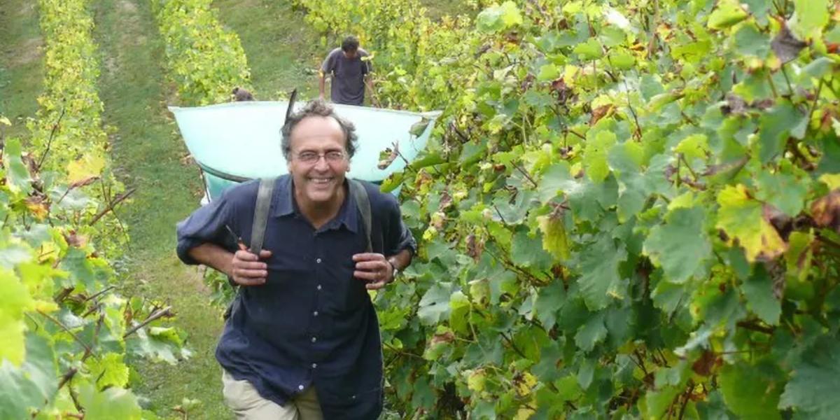 ファミーユ・ジョリー（ニコラ・ジョリー） / FAMILLE JOLY (NICOLAS JOLY)