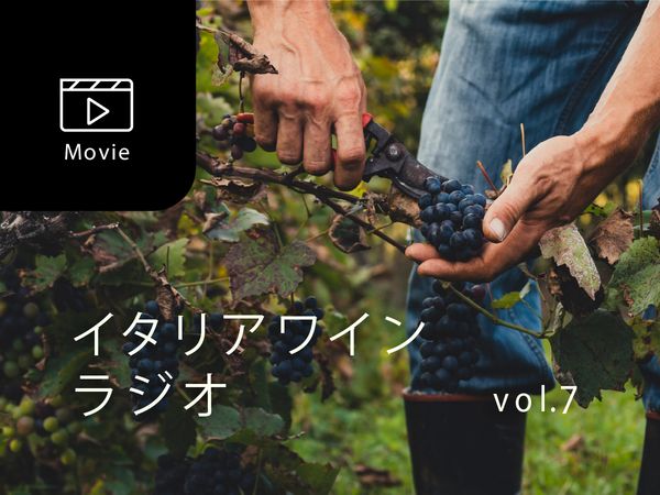 【宮嶋勲のイタリアワインラジオ】家族という土壌が育む“感性の伝承”