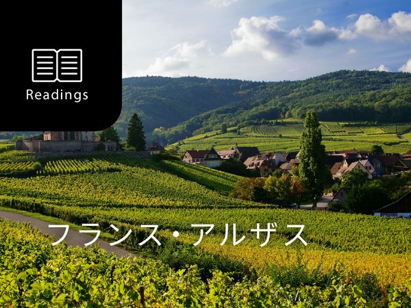 ワイン産地を知ろう！アルザス
