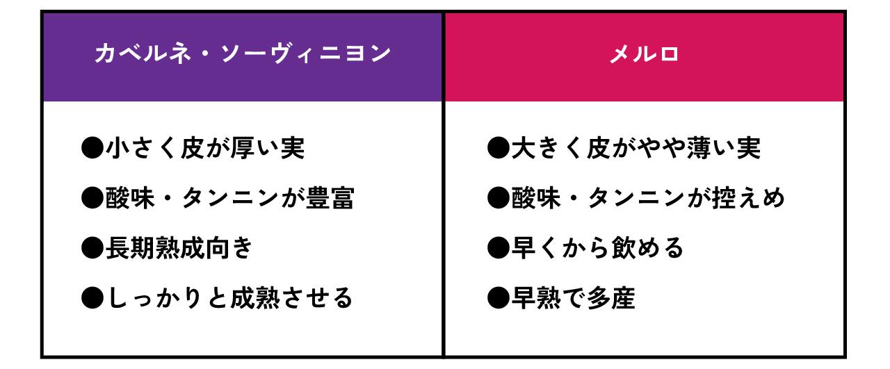 カベルネ・ソーヴィニヨンとメルロの違い