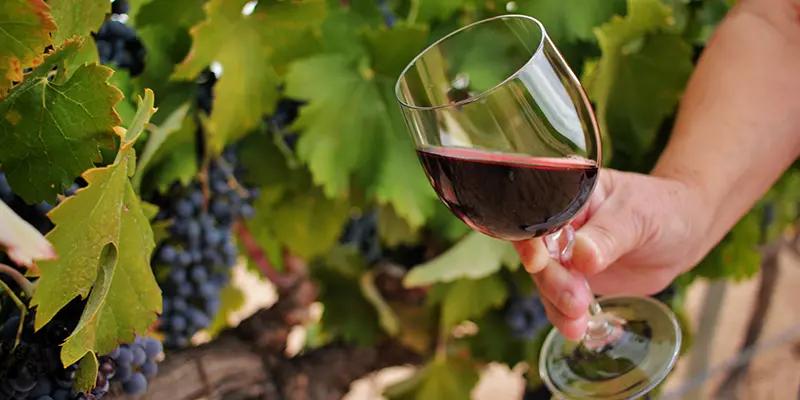 赤ワイングラス