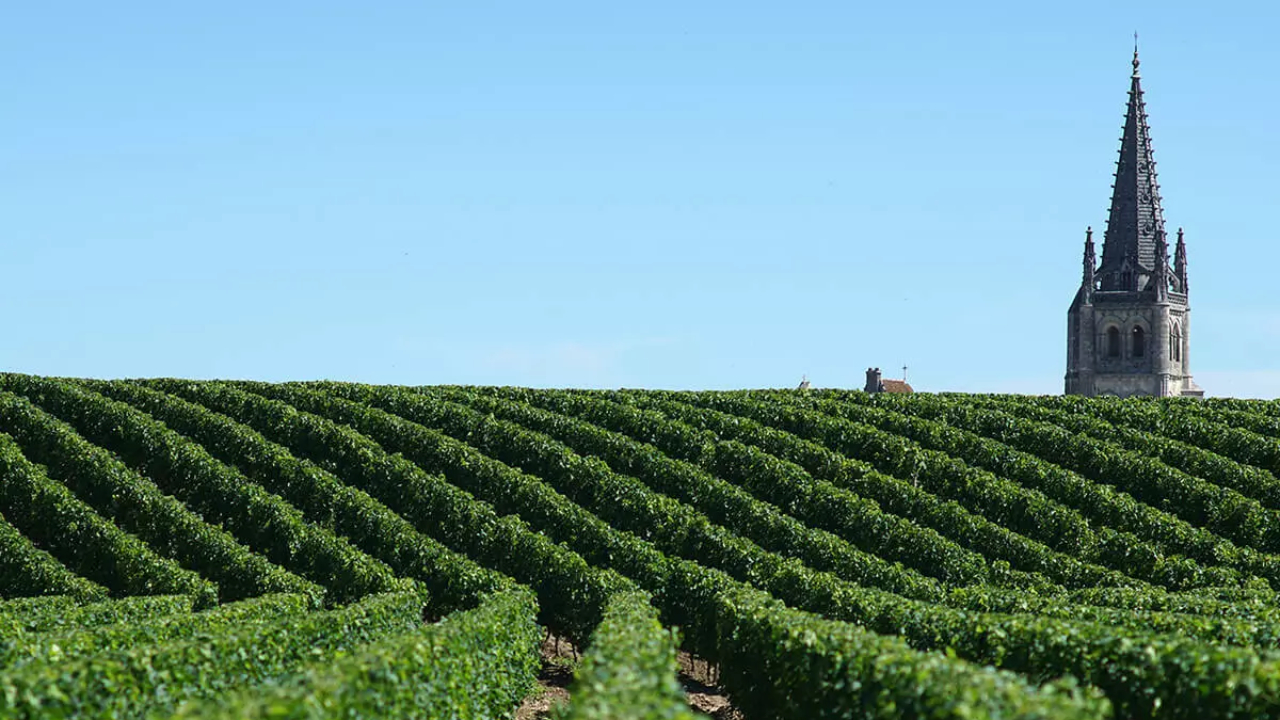 ボルドー右岸の代表産地「サン・テミリオン」で造られるワインの魅力 ...