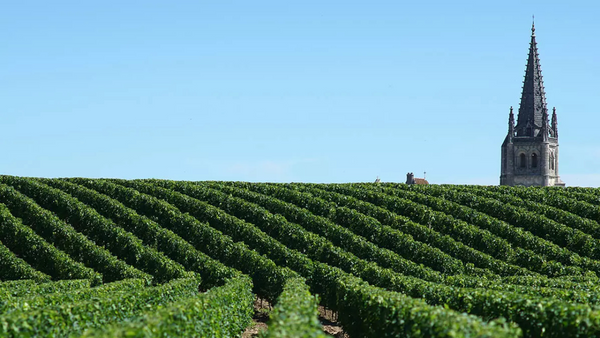 ボルドー右岸の代表産地「サン・テミリオン」で造られるワインの魅力