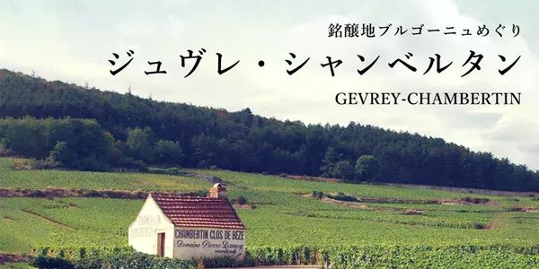 【大阪店】☆11月10日（金）抜栓スタート！ブルゴーニュの王 ジュヴレ・シャンベルタン1級畑特集☆