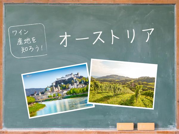 【ワイン産地を知ろう】オーストリアワインの特徴