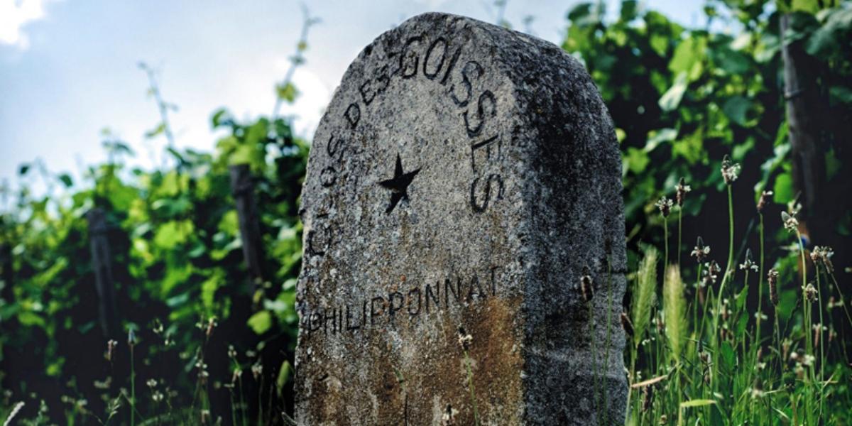 フィリポナ / PHILIPPONNAT