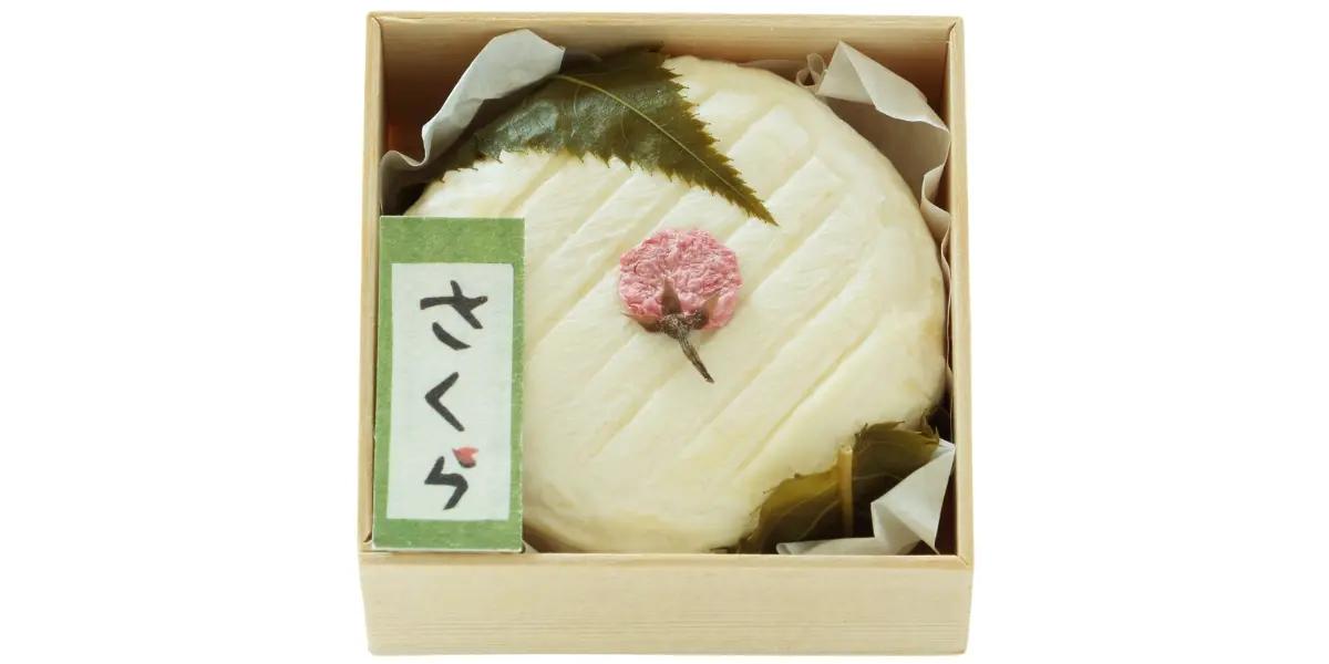 季節限定チーズ さくら 3月6日（金）出荷分