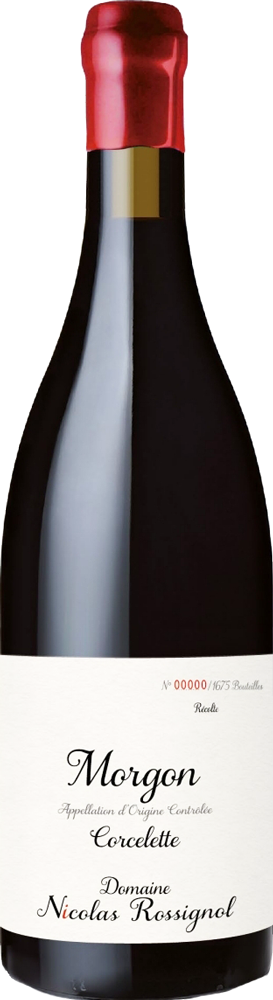 モルゴン コルスレット