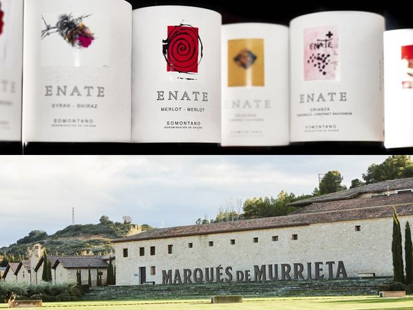 【1or2グラス】カスティーリョ・イガイ & ウノ・シャルドネ