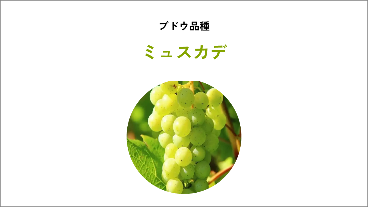 特徴